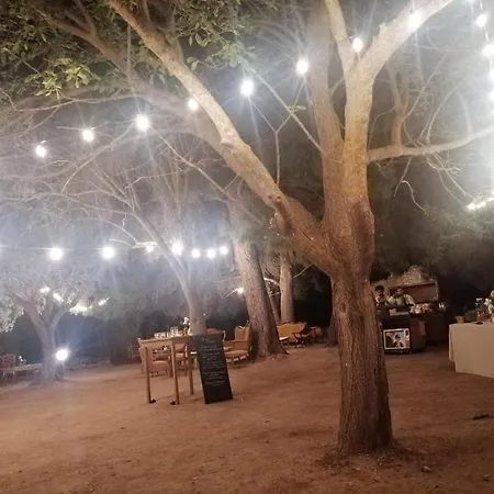 Wedding Country In Sicily